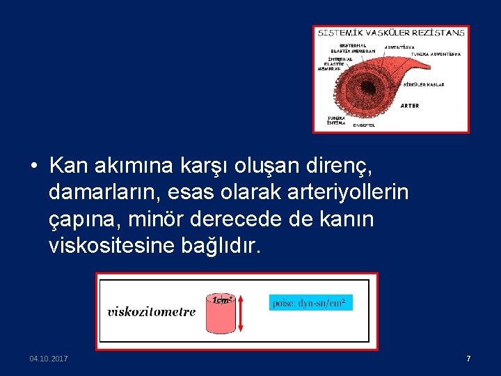  • Kan akımına karşı oluşan direnç, damarların, esas olarak arteriyollerin çapına, minör derecede