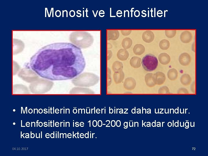 Monosit ve Lenfositler • Monositlerin ömürleri biraz daha uzundur. • Lenfositlerin ise 100 -200