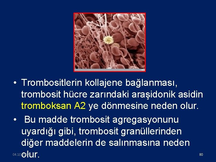  • Trombositlerin kollajene bağlanması, trombosit hücre zarındaki araşidonik asidin tromboksan A 2 ye