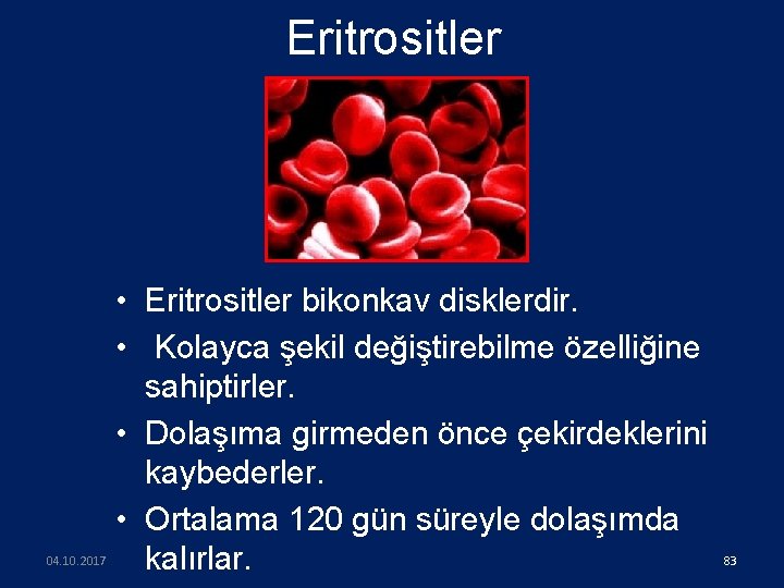 Eritrositler 04. 10. 2017 • Eritrositler bikonkav disklerdir. • Kolayca şekil değiştirebilme özelliğine sahiptirler.