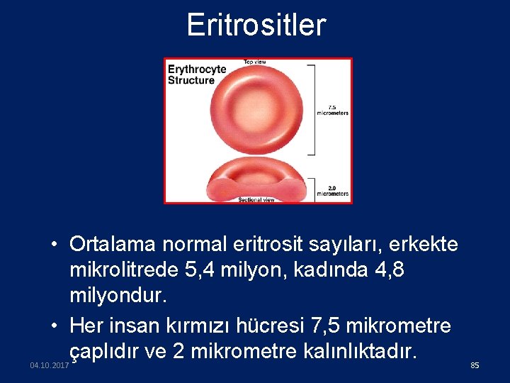 Eritrositler • Ortalama normal eritrosit sayıları, erkekte mikrolitrede 5, 4 milyon, kadında 4, 8