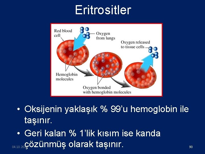 Eritrositler • Oksijenin yaklaşık % 99’u hemoglobin ile taşınır. • Geri kalan % 1’lik