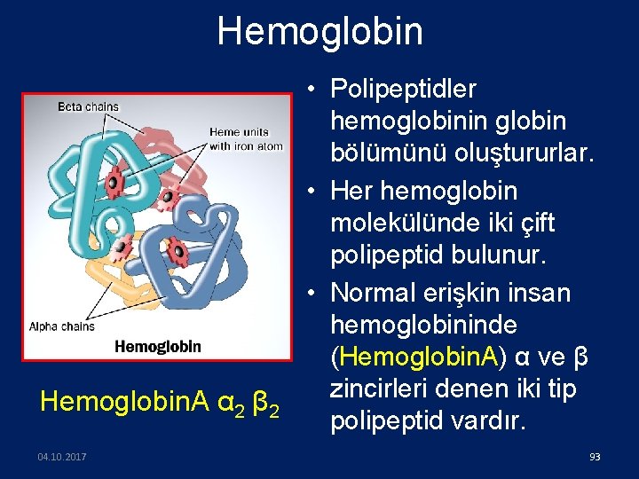 Hemoglobin. A α 2 β 2 04. 10. 2017 • Polipeptidler hemoglobinin globin bölümünü