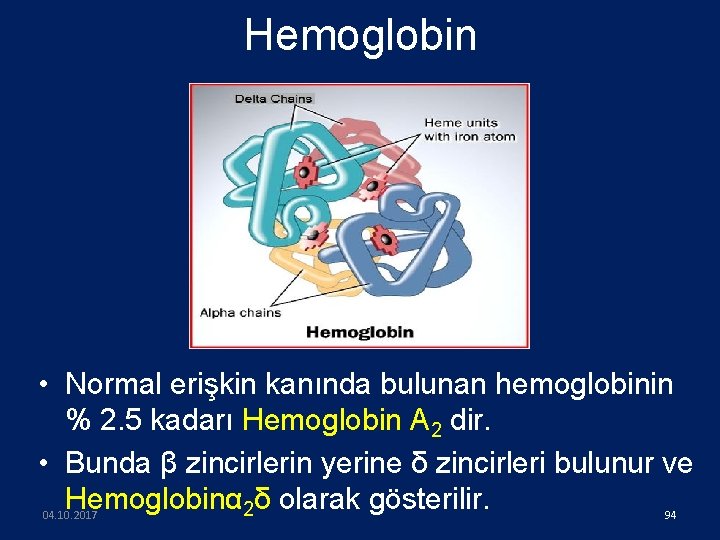 Hemoglobin • Normal erişkin kanında bulunan hemoglobinin % 2. 5 kadarı Hemoglobin A 2