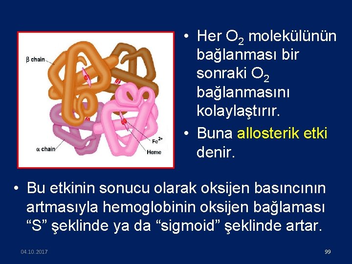  • Her O 2 molekülünün bağlanması bir sonraki O 2 bağlanmasını kolaylaştırır. •
