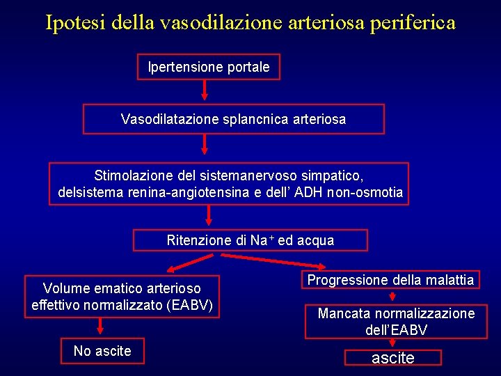 Ipotesi della vasodilazione arteriosa periferica Ipertensione portale Vasodilatazione splancnica arteriosa Stimolazione del sistemanervoso simpatico,