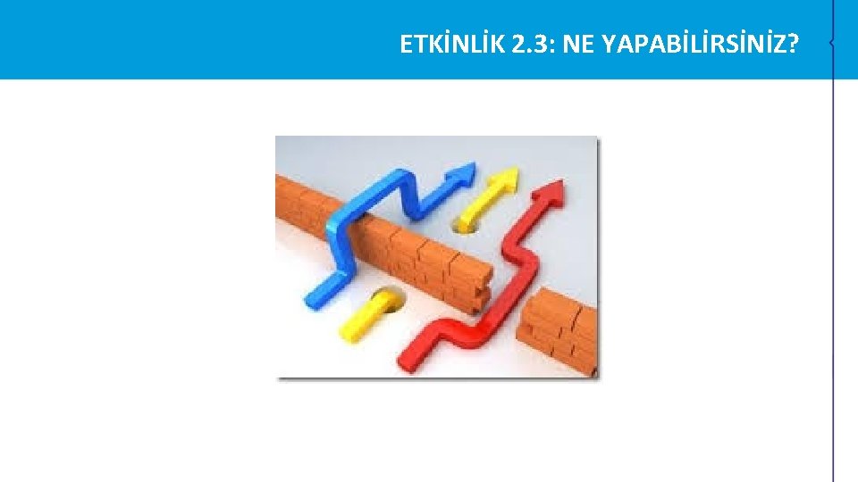 ETKİNLİK 2. 3: NE YAPABİLİRSİNİZ? ETKİNLİK 2. 3: NE YAPABİLİRSİNİZ?