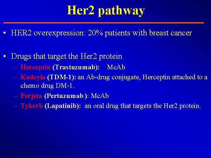 Her 2 pathway • HER 2 overexpression: 20% patients with breast cancer • Drugs