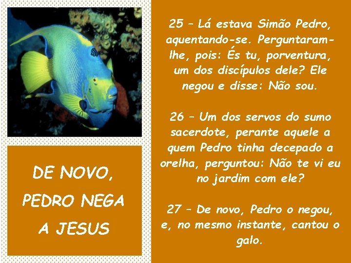 25 – Lá estava Simão Pedro, aquentando-se. Perguntaramlhe, pois: És tu, porventura, um dos