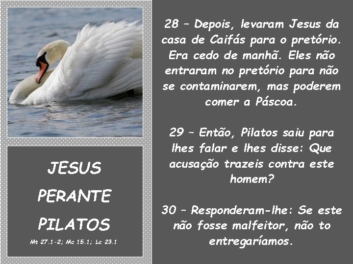 28 – Depois, levaram Jesus da casa de Caifás para o pretório. Era cedo