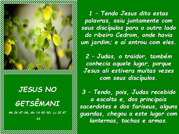 1 – Tendo Jesus dito estas palavras, saiu juntamente com seus discípulos para o