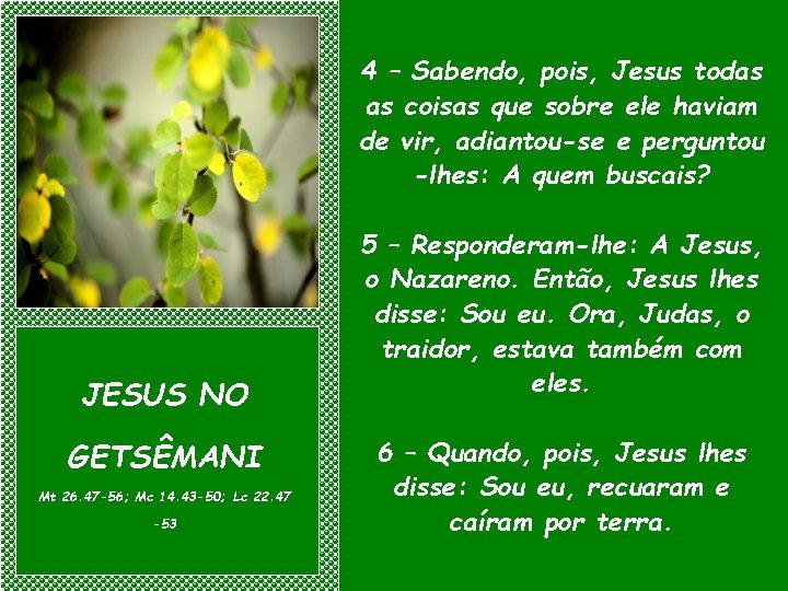 4 – Sabendo, pois, Jesus todas as coisas que sobre ele haviam de vir,