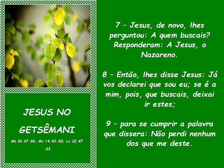 7 – Jesus, de novo, lhes perguntou: A quem buscais? Responderam: A Jesus, o