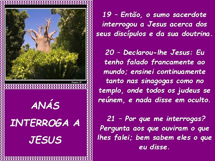 19 – Então, o sumo sacerdote interrogou a Jesus acerca dos seus discípulos e