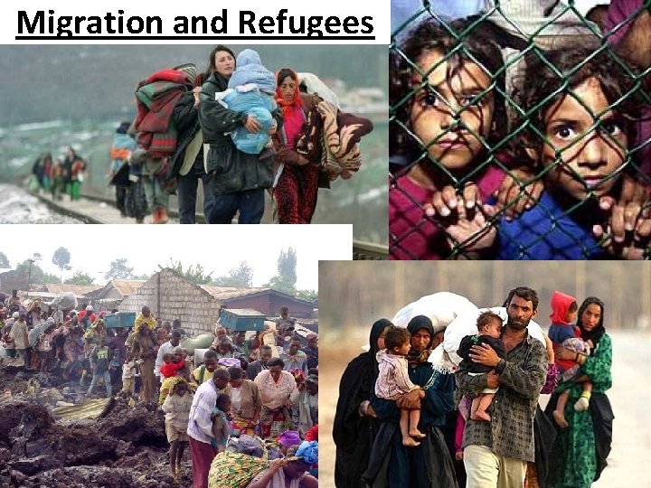 Migration and Refugees 