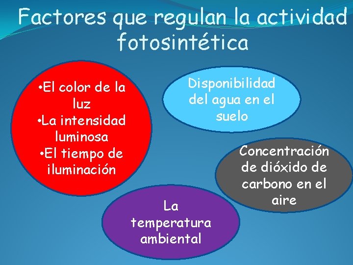 Factores que regulan la actividad fotosintética • El color de la luz • La