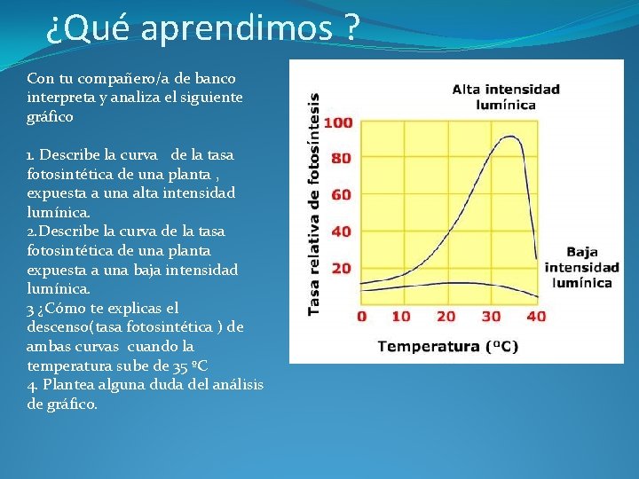 ¿Qué aprendimos ? Con tu compañero/a de banco interpreta y analiza el siguiente gráfico