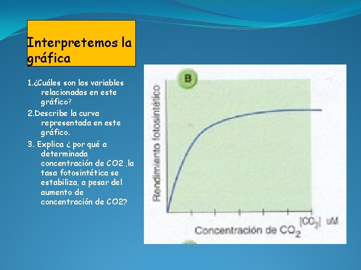 Interpretemos la gráfica 1. ¿Cuáles son las variables relacionadas en este gráfico? 2. Describe