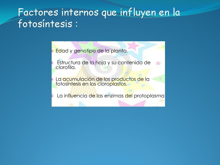 Factores internos que influyen en la fotosíntesis : 