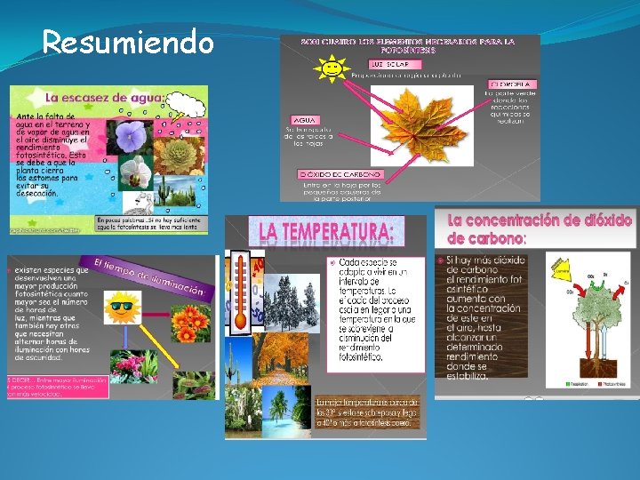 Resumiendo 
