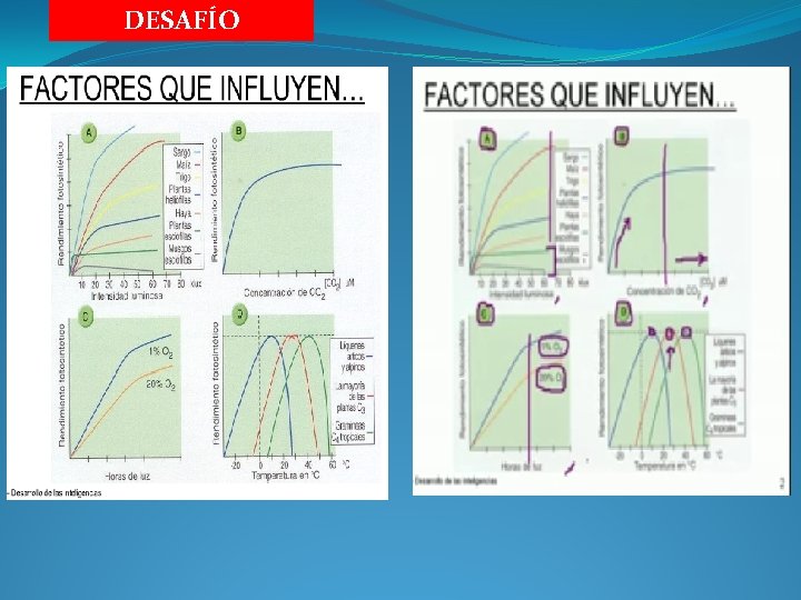 DESAFÍO 