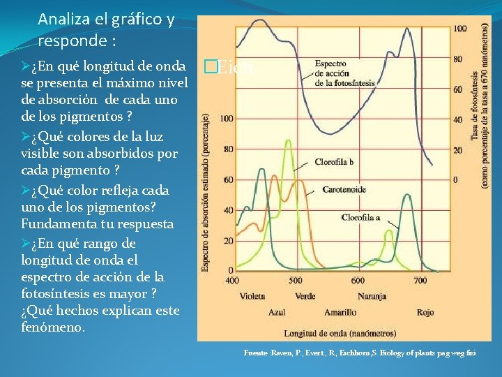 Analiza el gráfico y responde : Ø¿En qué longitud de onda se presenta el