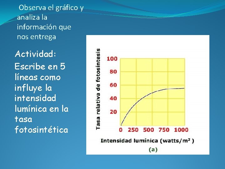 Observa el gráfico y analiza la información que nos entrega Actividad: Escribe en 5