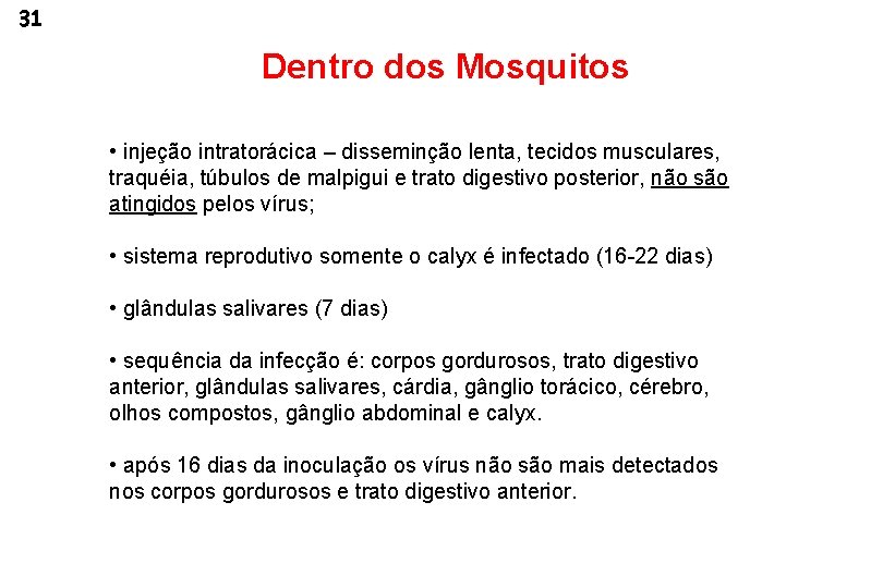 31 Dentro dos Mosquitos • injeção intratorácica – disseminção lenta, tecidos musculares, traquéia, túbulos