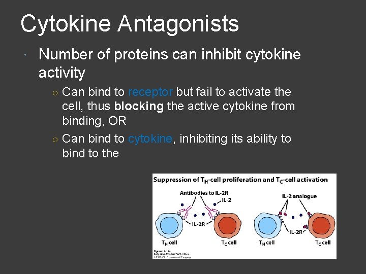 Cytokine Antagonists Number of proteins can inhibit cytokine activity ○ Can bind to receptor