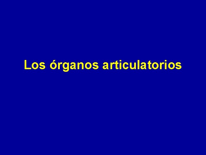 Los órganos articulatorios 