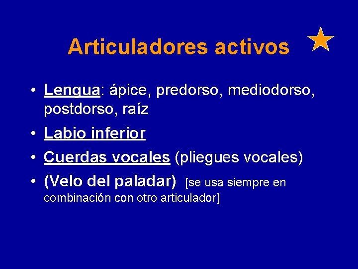 Articuladores activos • Lengua: ápice, predorso, mediodorso, postdorso, raíz • Labio inferior • Cuerdas