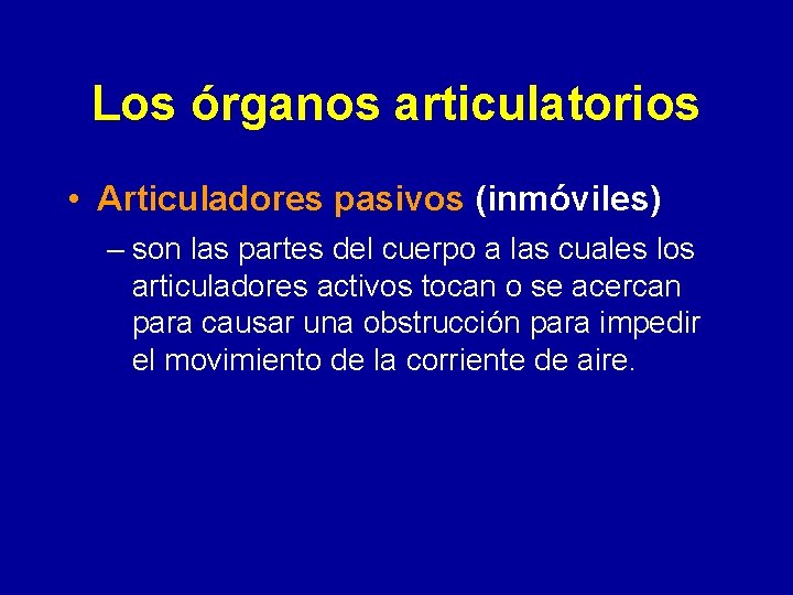 Los órganos articulatorios • Articuladores pasivos (inmóviles) – son las partes del cuerpo a