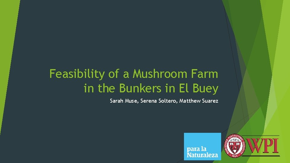 Feasibility of a Mushroom Farm in the Bunkers in El Buey Sarah Muse, Serena