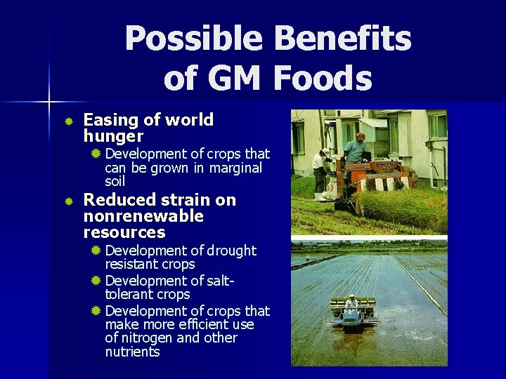Possible Benefits of GM Foods ® Easing of world hunger ® Development of crops