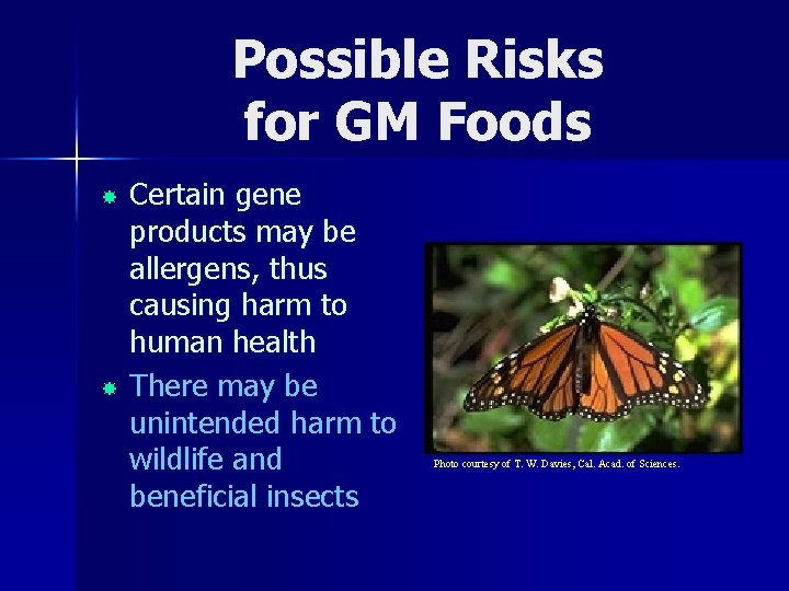 Possible Risks for GM Foods Certain gene products may be allergens, thus causing harm