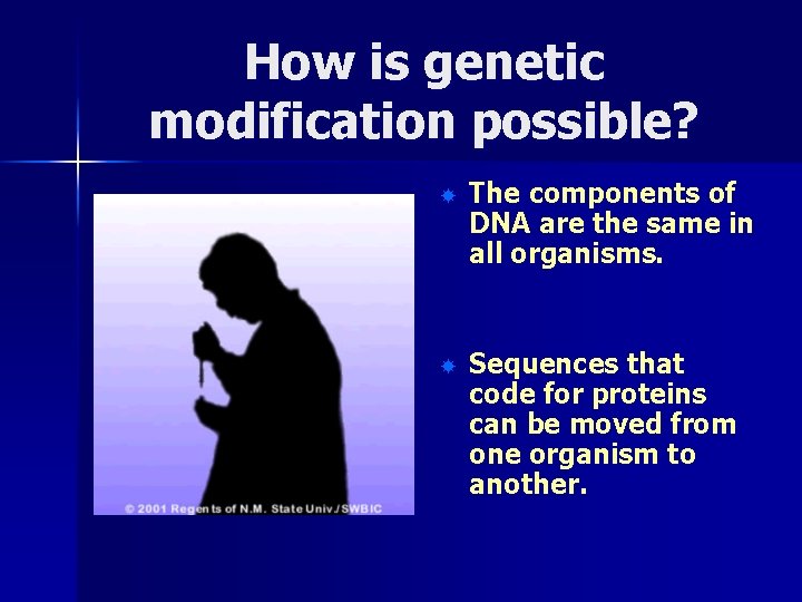 How is genetic modification possible? The components of DNA are the same in all
