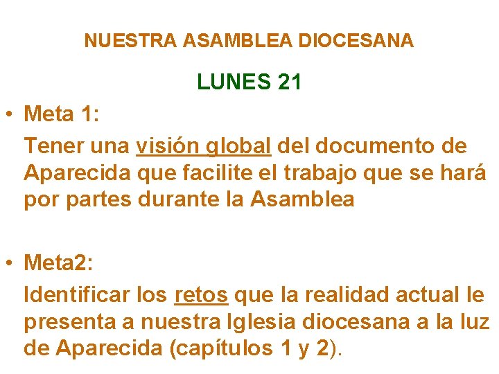 NUESTRA ASAMBLEA DIOCESANA LUNES 21 • Meta 1: Tener una visión global del documento