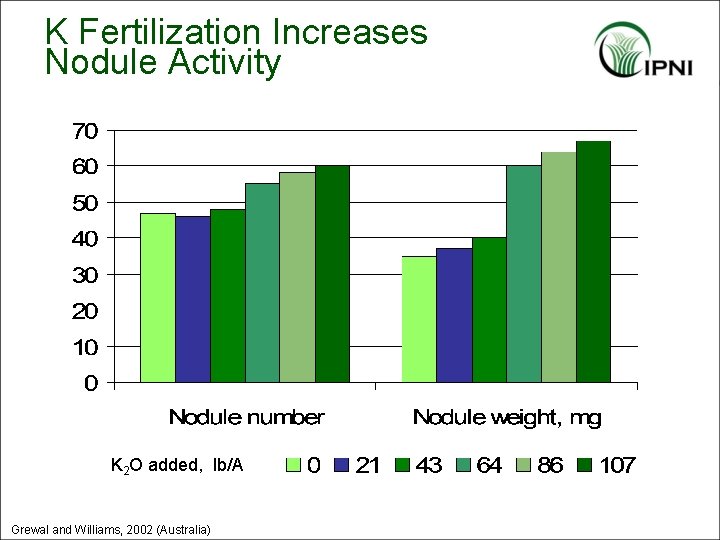 K Fertilization Increases Nodule Activity K 2 O added, lb/A Grewal and Williams, 2002