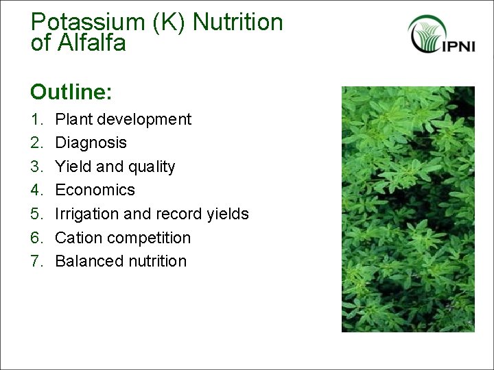 Potassium (K) Nutrition of Alfalfa Outline: 1. 2. 3. 4. 5. 6. 7. Plant