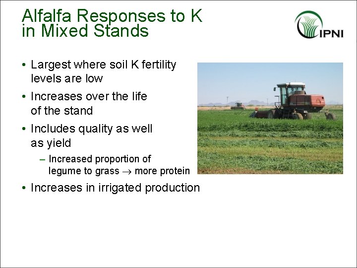 Alfalfa Responses to K in Mixed Stands • Largest where soil K fertility levels