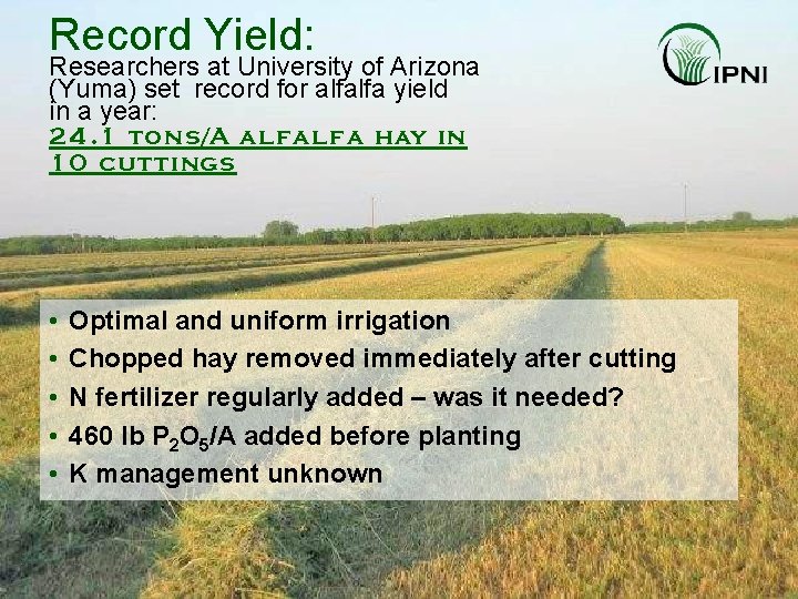 Record Yield: Researchers at University of Arizona (Yuma) set record for alfalfa yield in