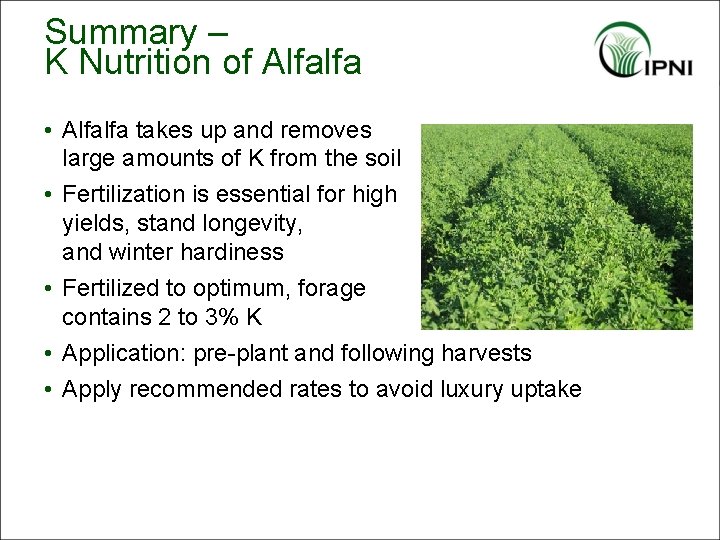 Summary – K Nutrition of Alfalfa • Alfalfa takes up and removes large amounts