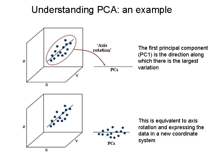 Understanding PCA: an example The first principal component (PC 1) is the direction along