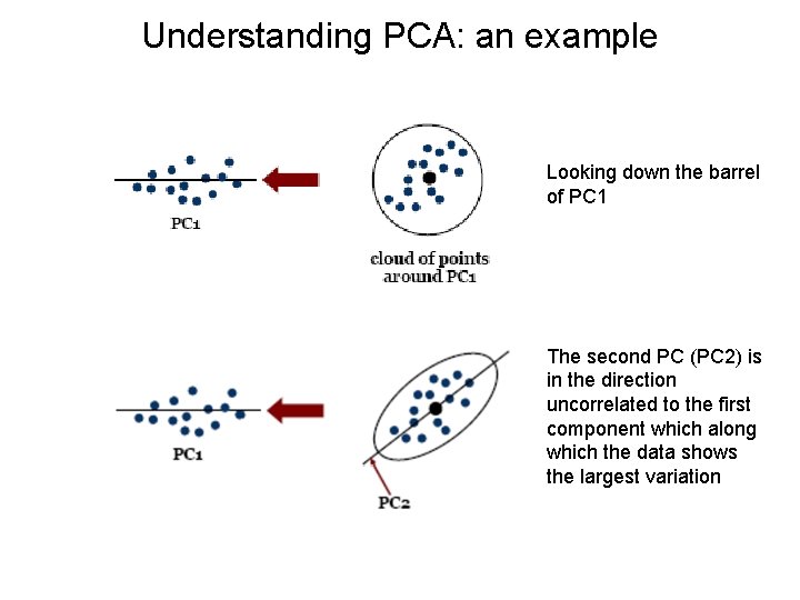 Understanding PCA: an example Looking down the barrel of PC 1 The second PC