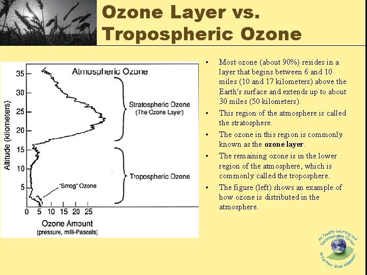 Ozone Layer vs. Tropospheric Ozone • • • Most ozone (about 90%) resides in