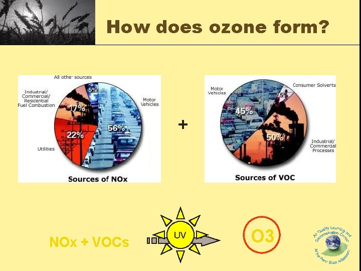 How does ozone form? + NOx + VOCs UV O 3 