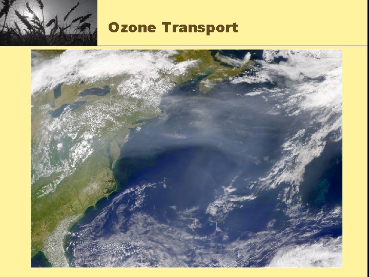 Ozone Transport 