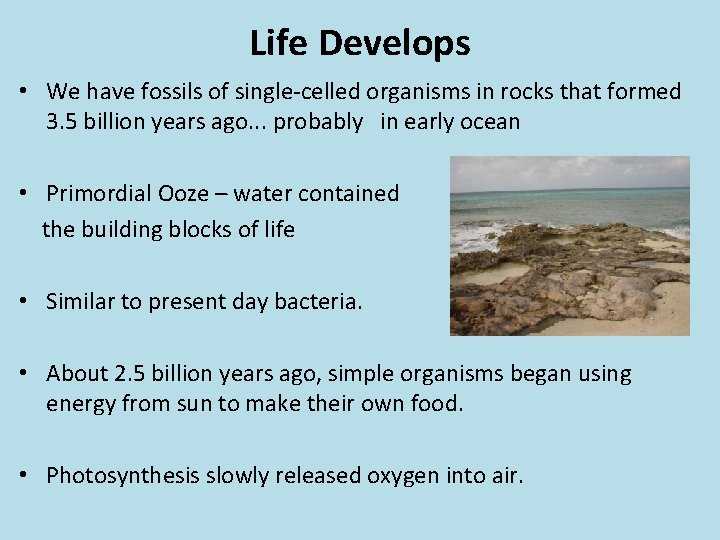 Life Develops • We have fossils of single-celled organisms in rocks that formed 3.