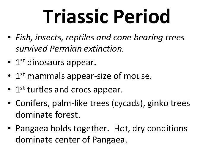 Triassic Period • Fish, insects, reptiles and cone bearing trees survived Permian extinction. •