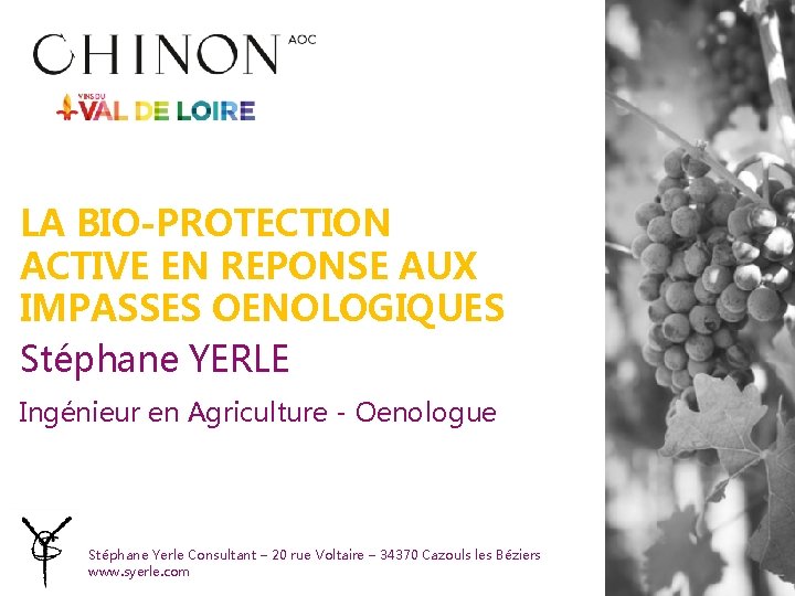 LA BIO-PROTECTION ACTIVE EN REPONSE AUX IMPASSES OENOLOGIQUES Stéphane YERLE Ingénieur en Agriculture -